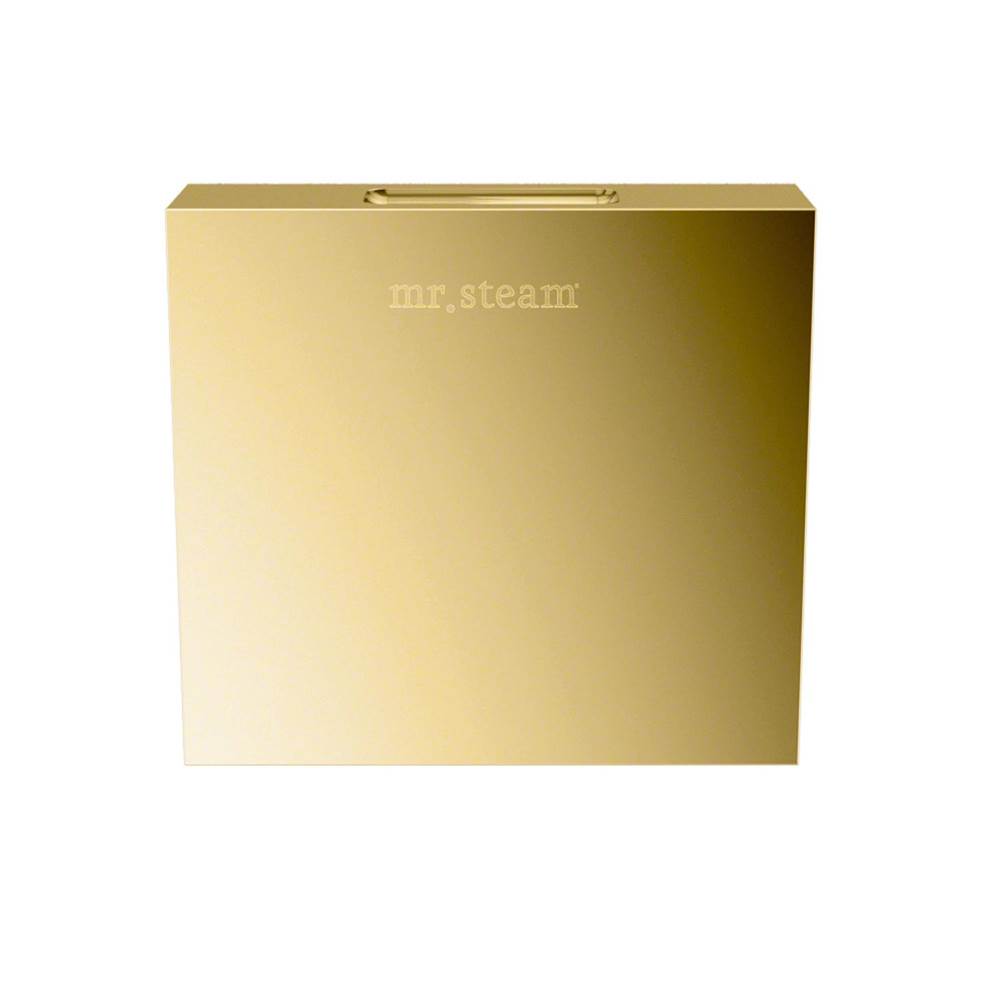 Mr. Steam Aroma Designer 3 in. W. Steamhead with AromaTherapy Reservoir in Square Polished Brass
