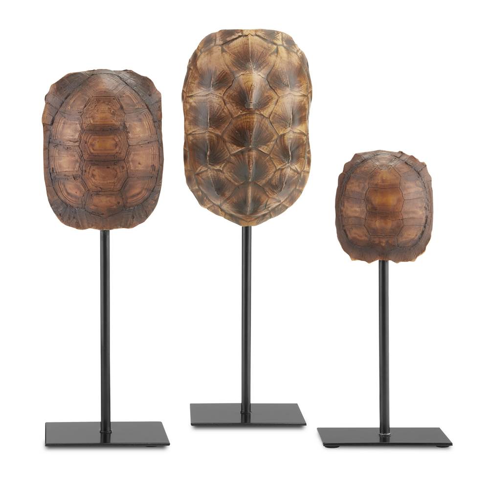 Currey And Company Turtle Shells Set of 3